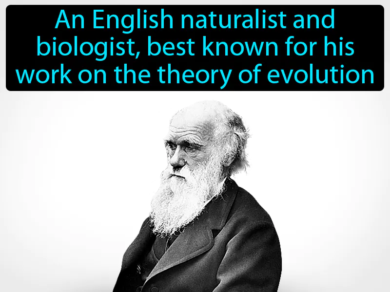 Charles Darwin Definition - Easy to Understand | GradesUp.gg