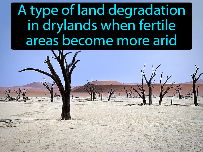 Desertification Definition