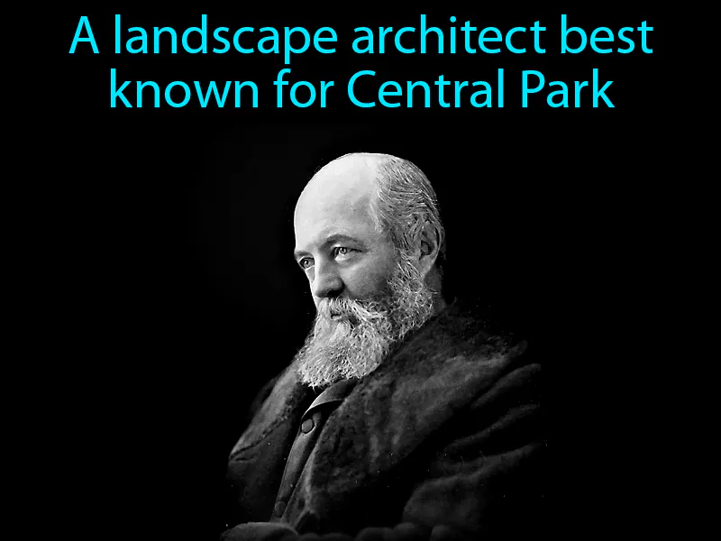 Frederick Law Olmsted Definition