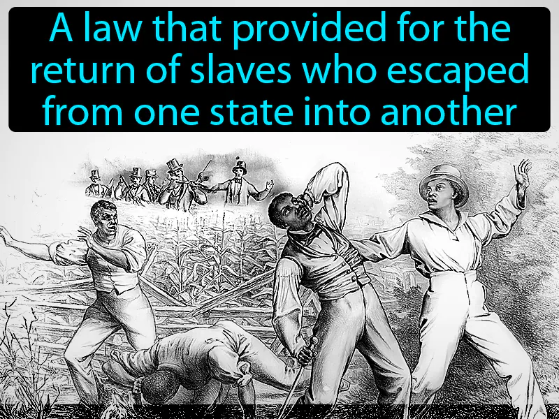 Fugitive Slave Law Definition - Easy to Understand | GradesUp.gg