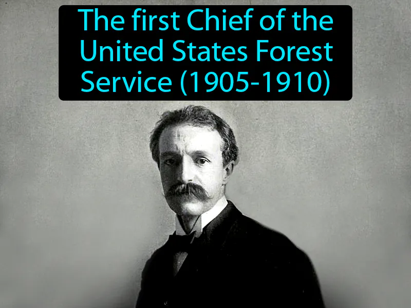 Gifford Pinchot Definition - Easy to Understand | GradesUp.gg