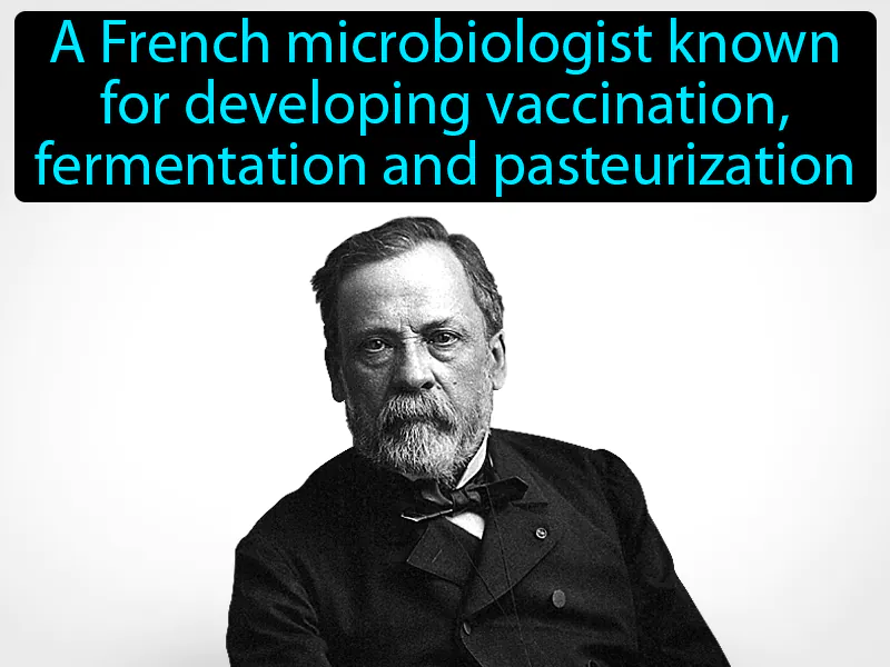 Louis Pasteur Definition - Easy to Understand