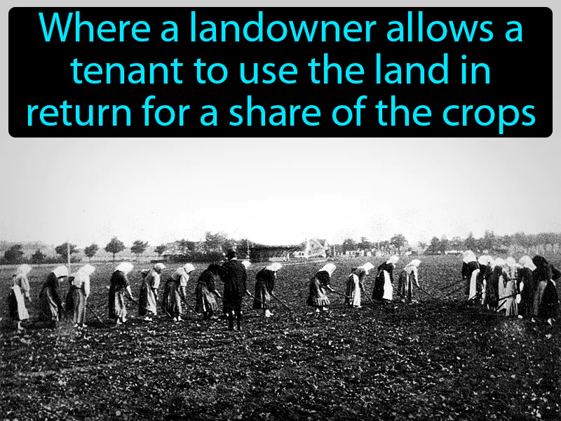 Sharecropping Definition - Easy to Understand