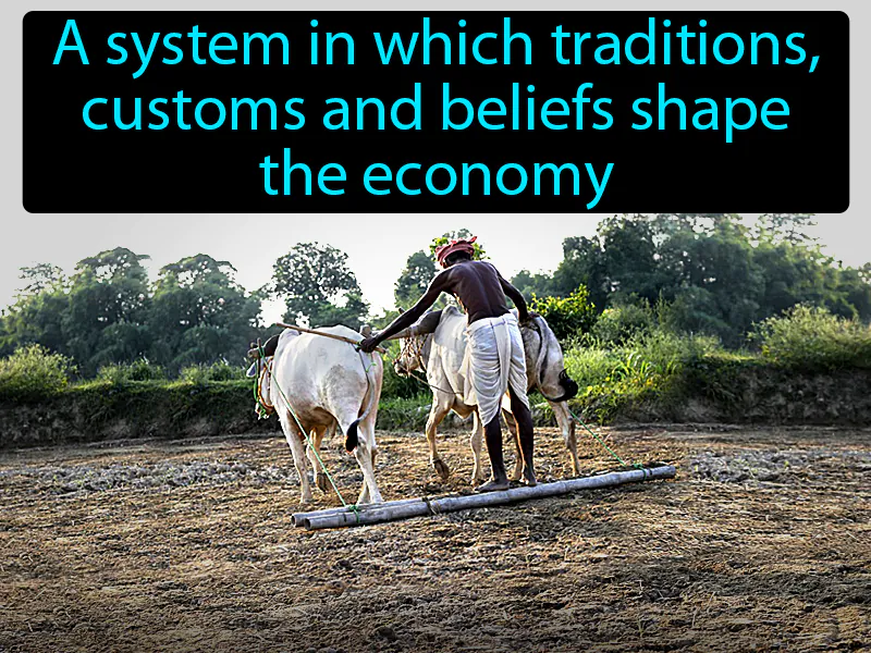 Traditional Economy Definition