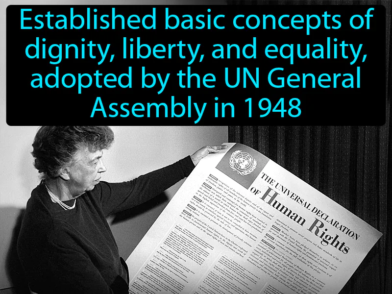 Universal Declaration Of Human Rights Definition