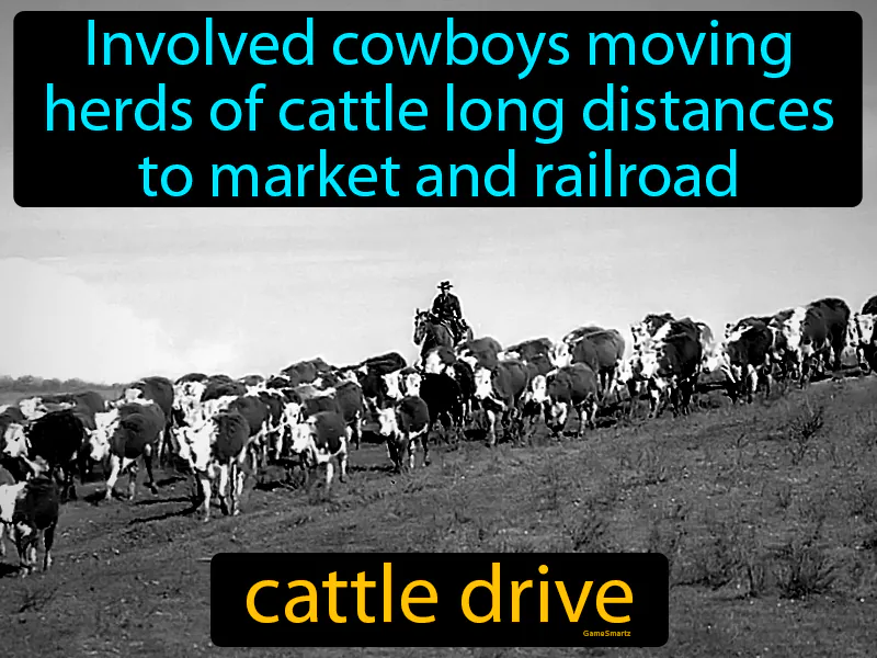 Cattle Drive Definition