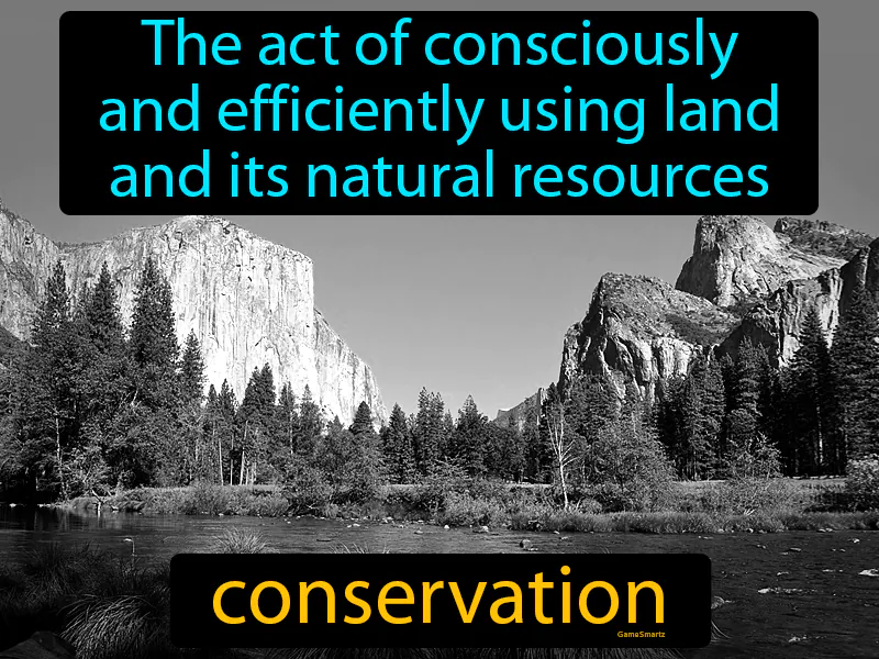 Conservation Definition - Easy to Understand | GradesUp.gg