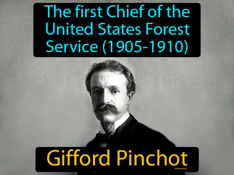 Gifford Pinchot Definition - Easy to Understand | GradesUp.gg