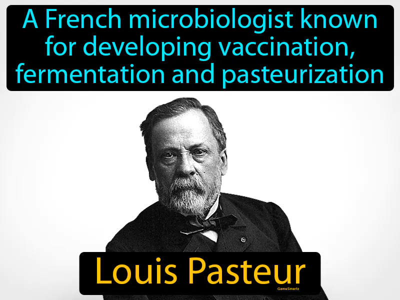 Louis Pasteur Definition - Easy to Understand