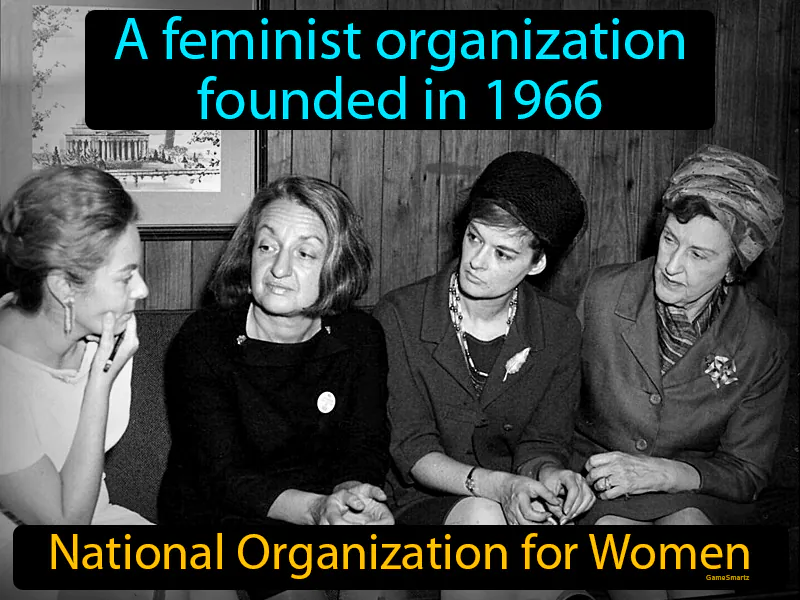 National Organization For Women Definition - Easy to Understand