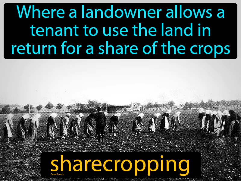 Sharecropping Definition - Easy to Understand