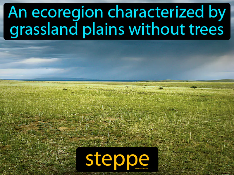 Steppe Definition - Easy to Understand | GradesUp.gg