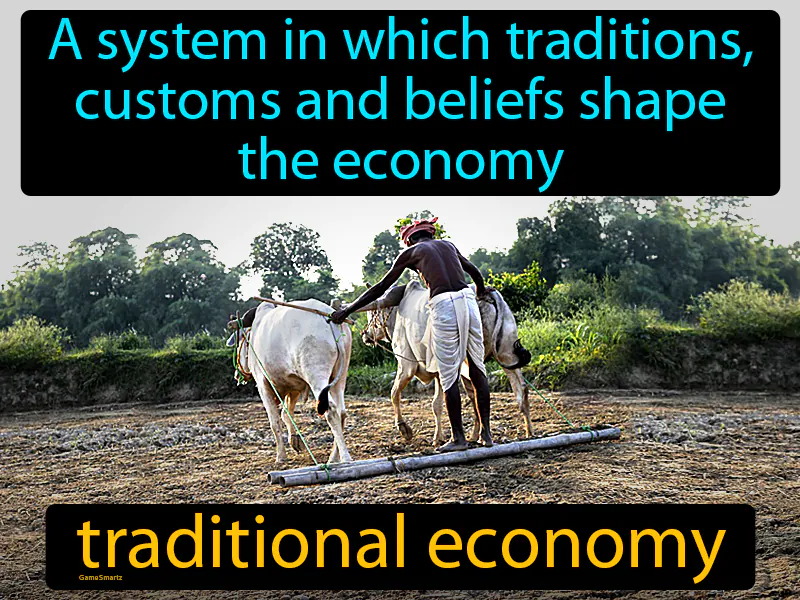 Traditional Economy Definition