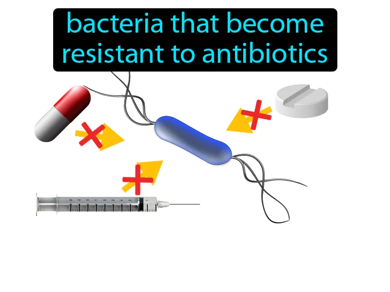 Antibiotic Resistance Definition - Easy to Understand | GradesUp.gg