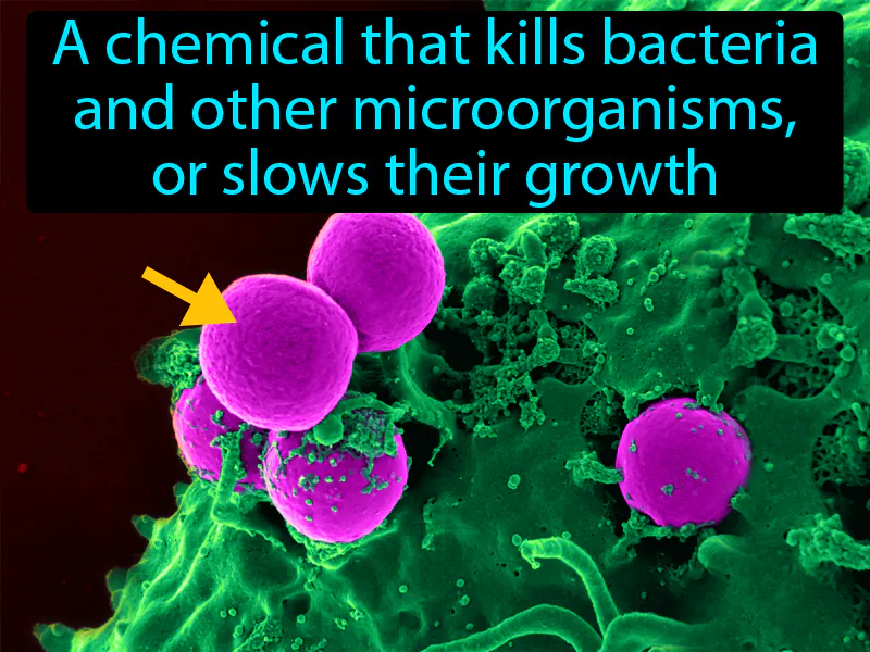 Antibiotic Definition