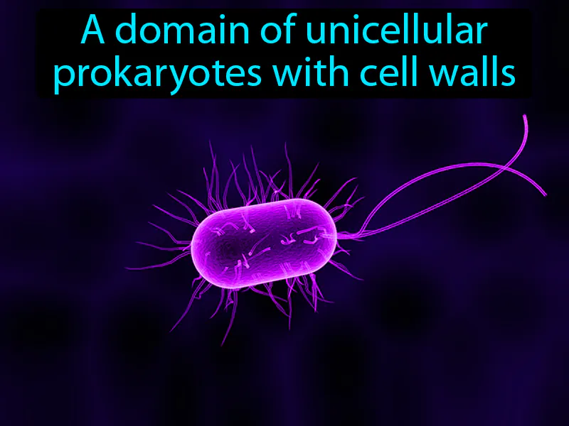 Bacteria Definition