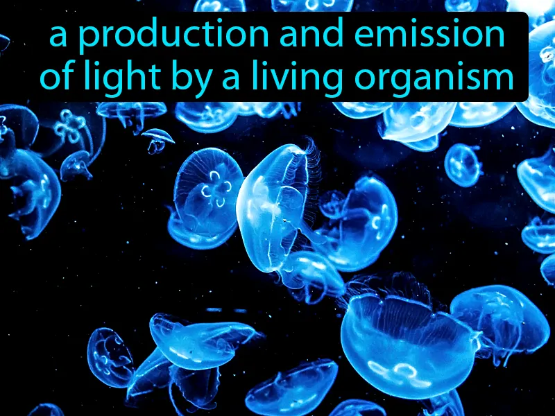 Bioluminescence Definition