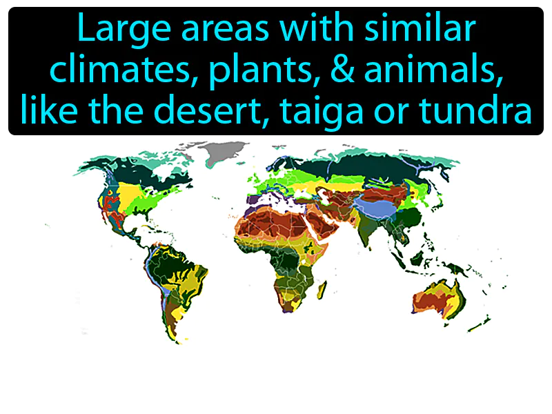 Biome Definition