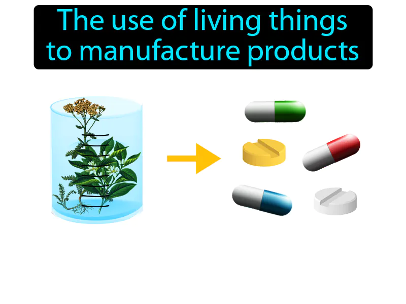 Biotechnology Definition - Easy to Understand | GradesUp.gg