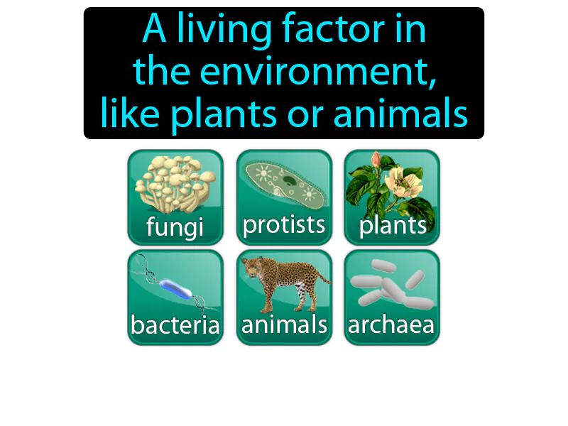 Biotic Factor Definition