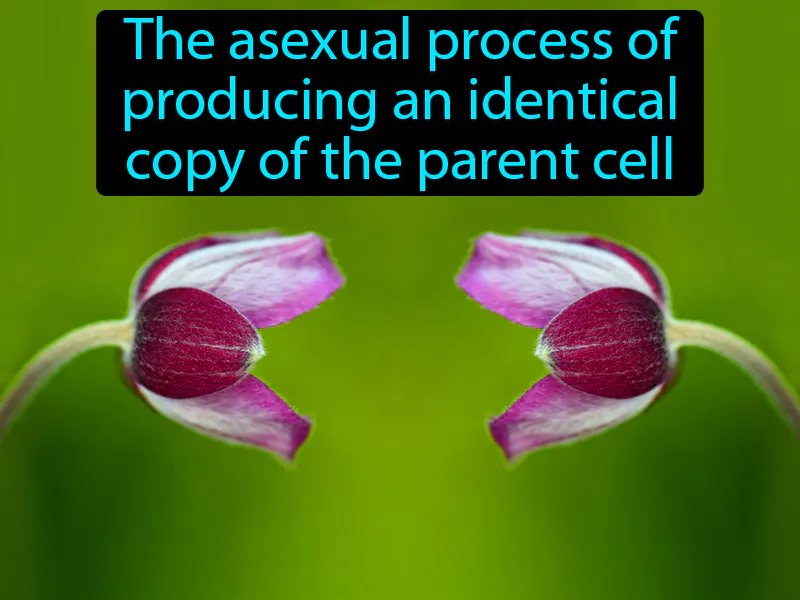 Cloning Definition - Easy to Understand | GradesUp.gg