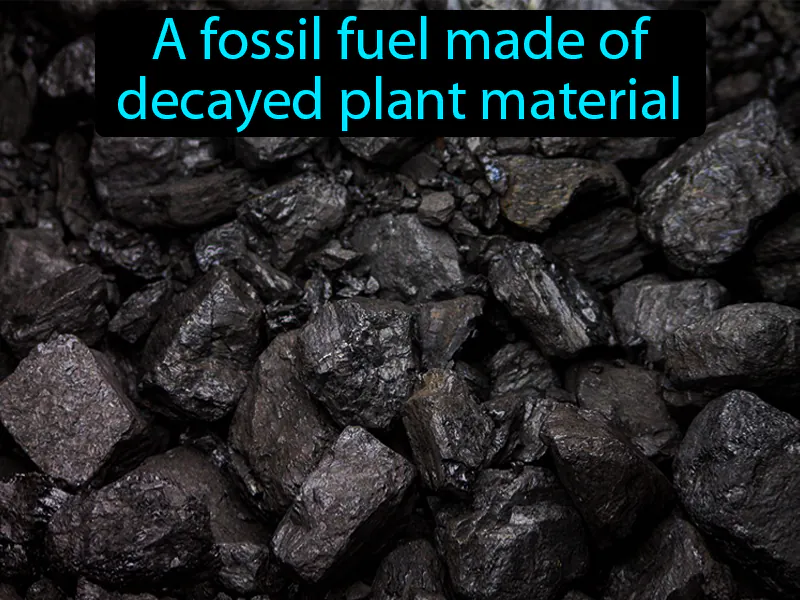 Coal Definition - Easy to Understand