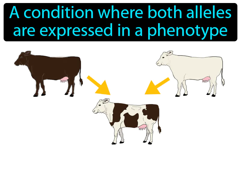 Codominance Definition