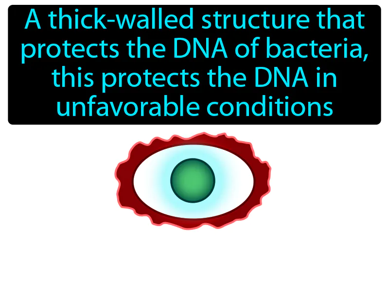 Endospore Definition