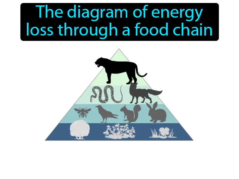 Energy Pyramid Definition