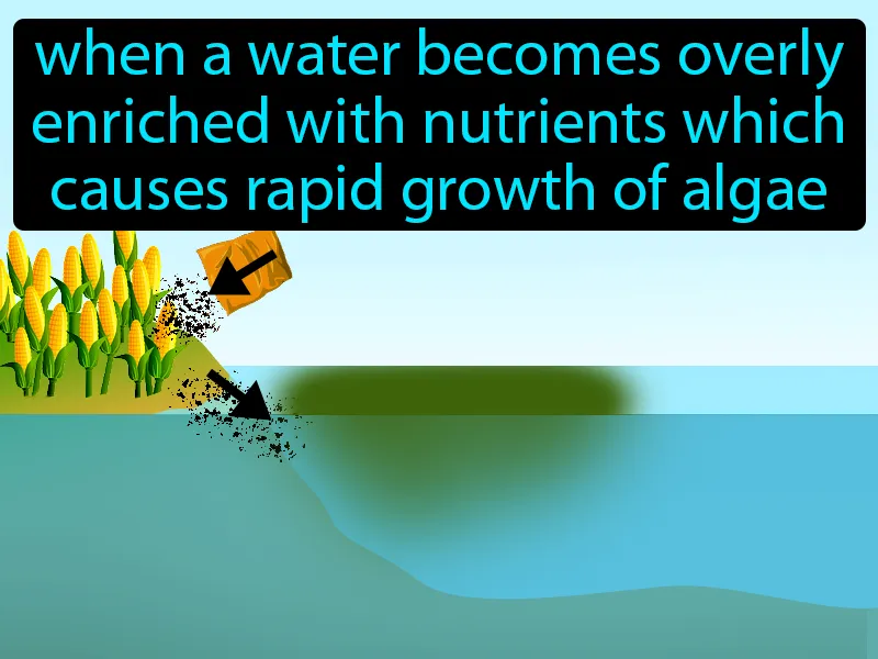 Eutrophication Definition - Easy to Understand | GradesUp.gg