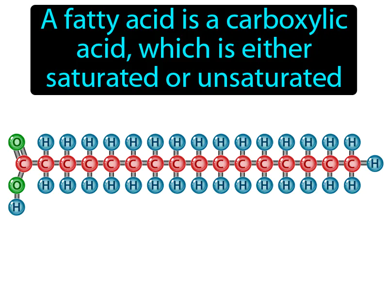 Fatty Acid Definition