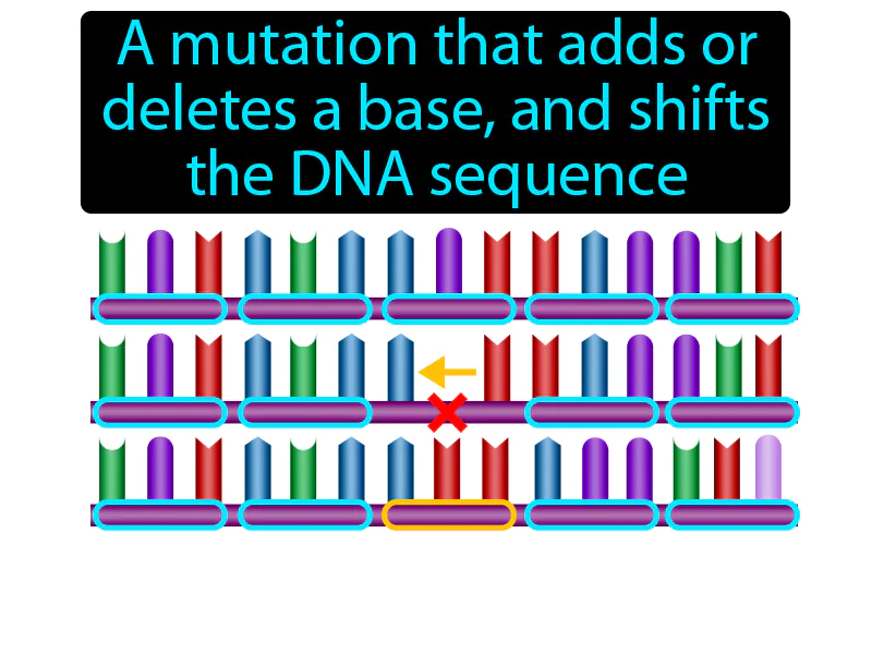 Frameshift Mutation Definition - Easy to Understand | GradesUp.gg