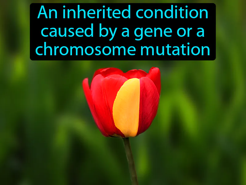 Genetic Disorder Definition