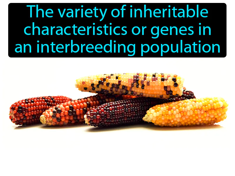 Genetic Diversity Definition - Easy to Understand | GradesUp.gg