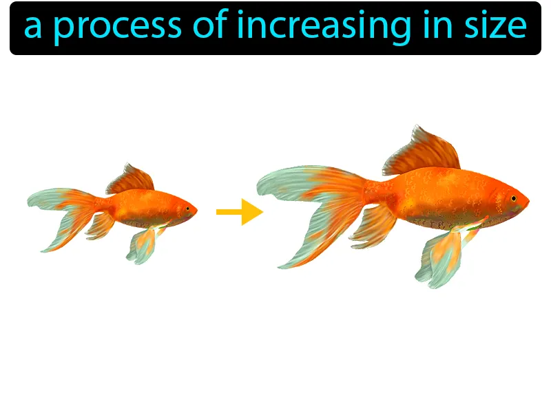 Growth Definition - Easy to Understand | GradesUp.gg