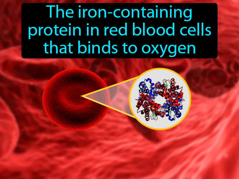 Hemoglobin Definition