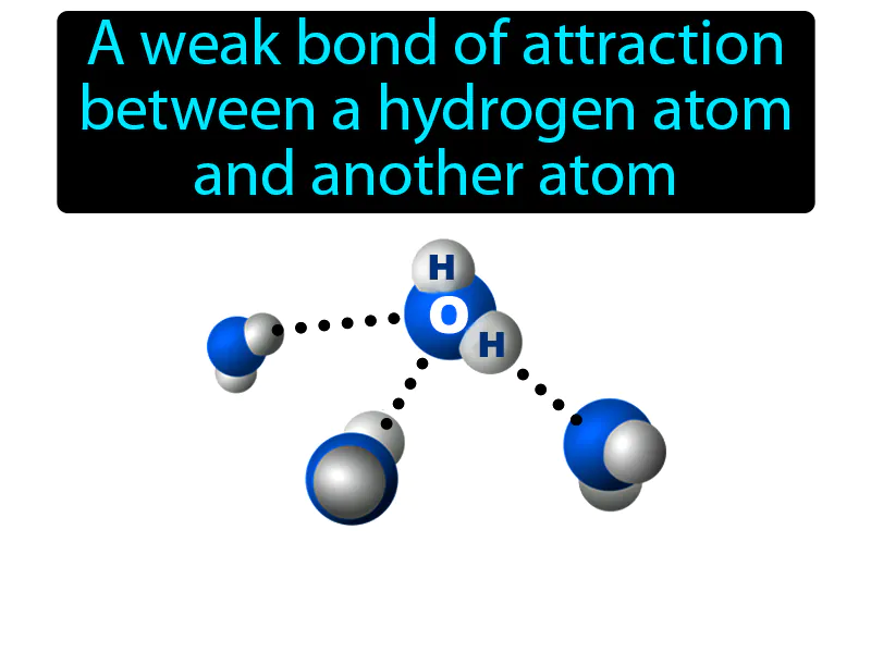 Hydrogen Bond Definition