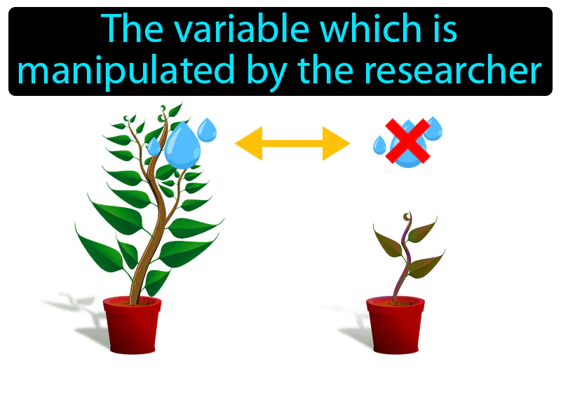 Independent Variable Definition - Easy to Understand | GradesUp.gg