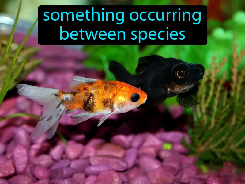 Interspecific Definition - Easy to Understand | GradesUp.gg