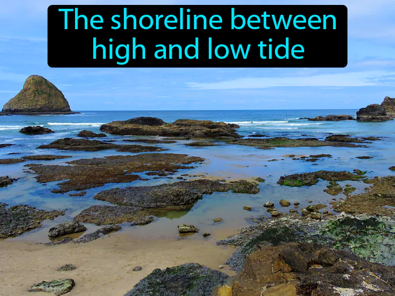 Intertidal Zone Definition - Easy to Understand | GradesUp.gg