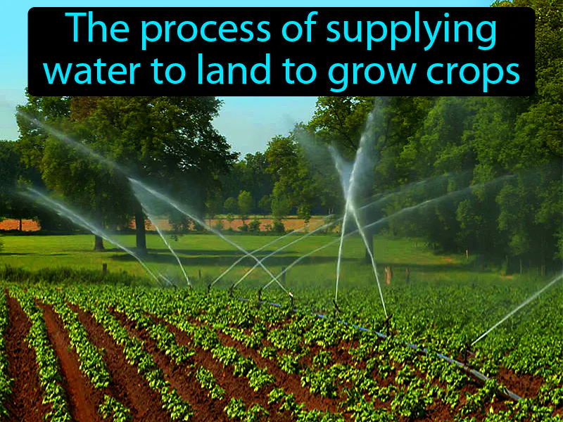 Irrigation Definition