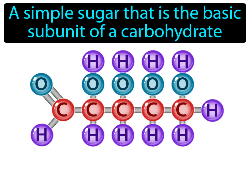 Monosaccharide Definition - Easy to Understand | GradesUp.gg