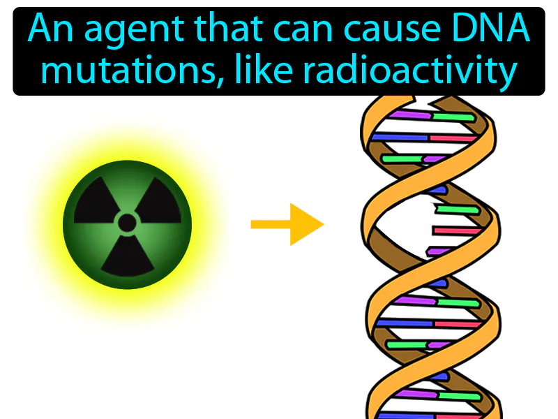 Mutagen Definition