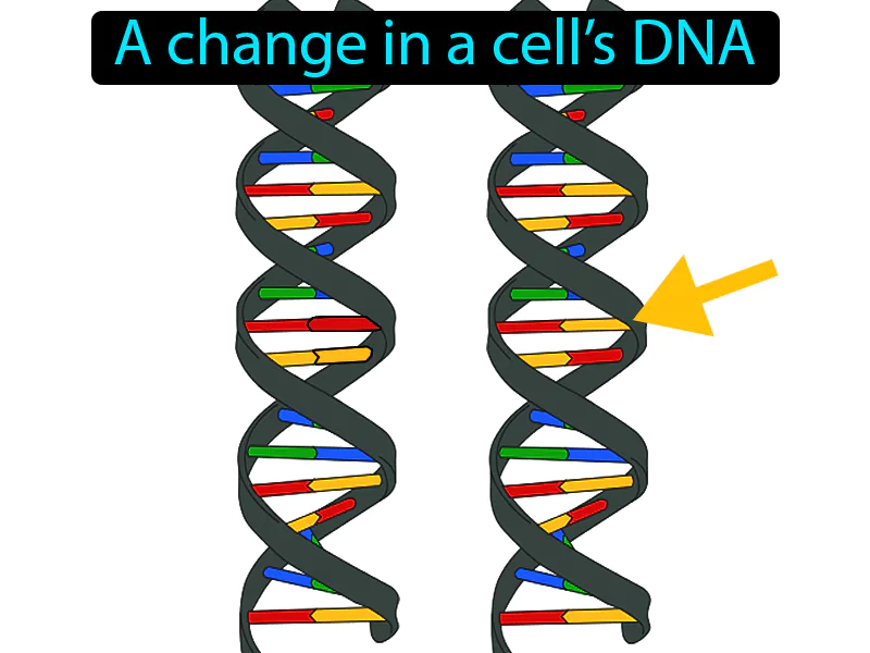 Mutation Definition - Easy to Understand