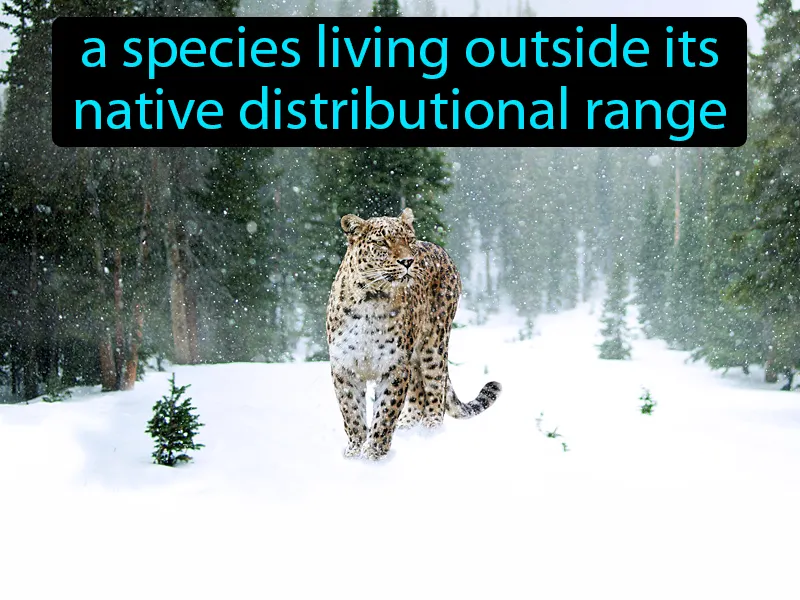 Non-native Species Definition - Easy to Understand