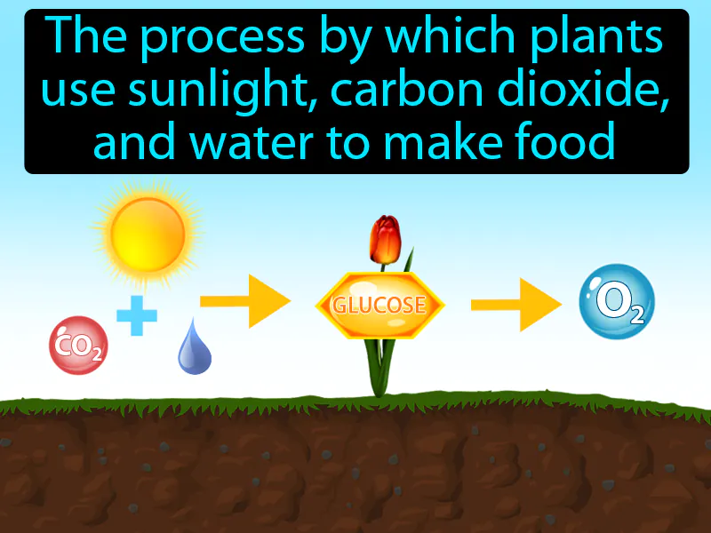 Photosynthesis Definition