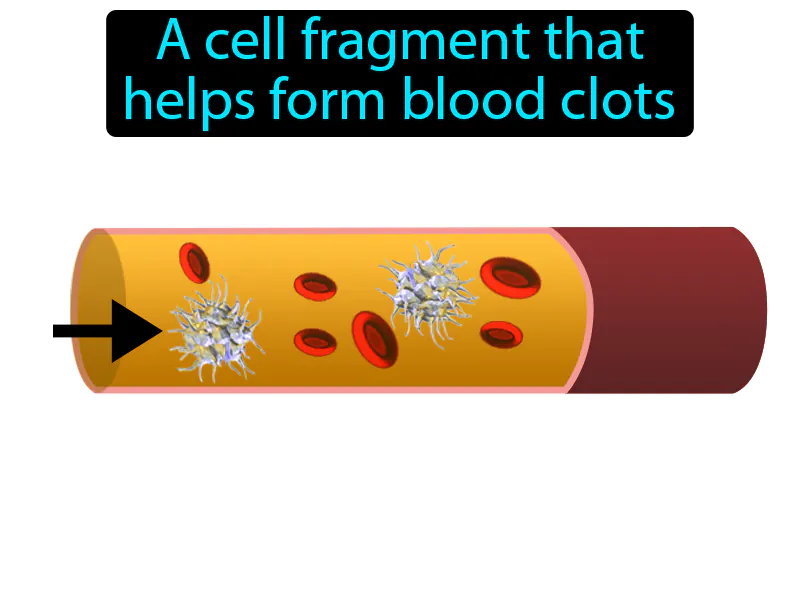 Platelet Definition - Easy to Understand | GradesUp.gg