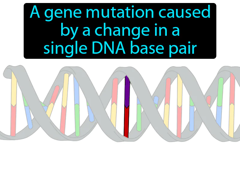 Point Mutation Definition