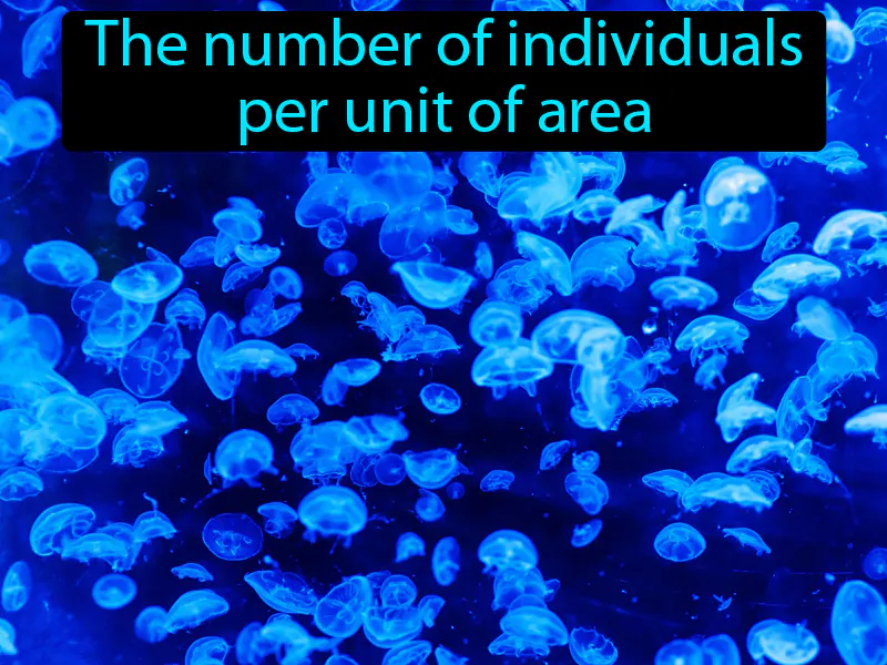 Population Density Definition - Easy to Understand | GradesUp.gg