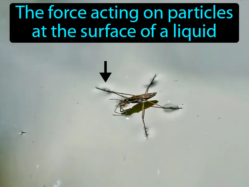 Surface Tension Definition